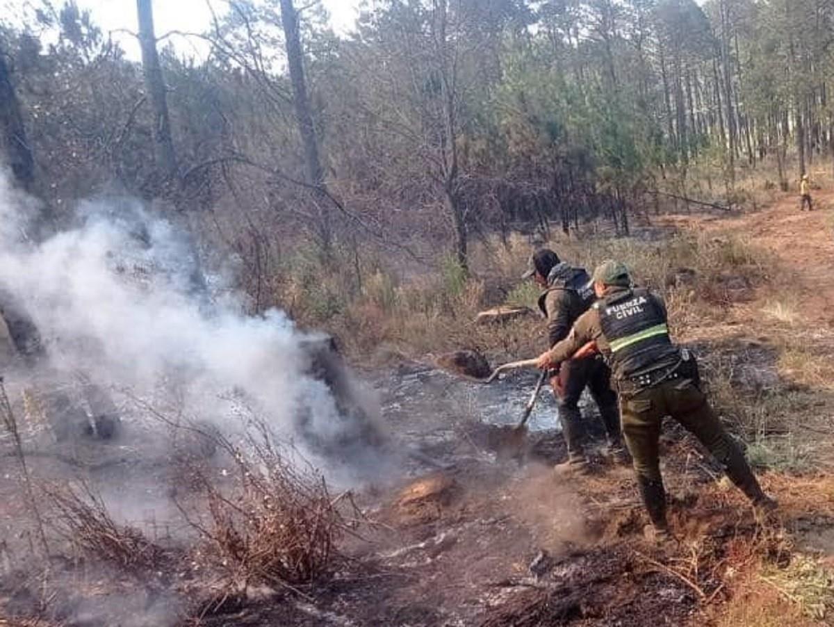 Se registran 19 incendios forestales en Veracruz