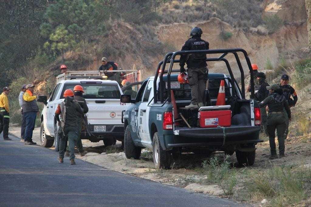Se registran 19 incendios forestales en Veracruz