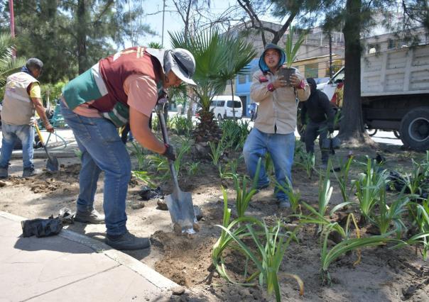 Se han reforestado más de 300 mil metros cuadrados en Nezahualcóyotl