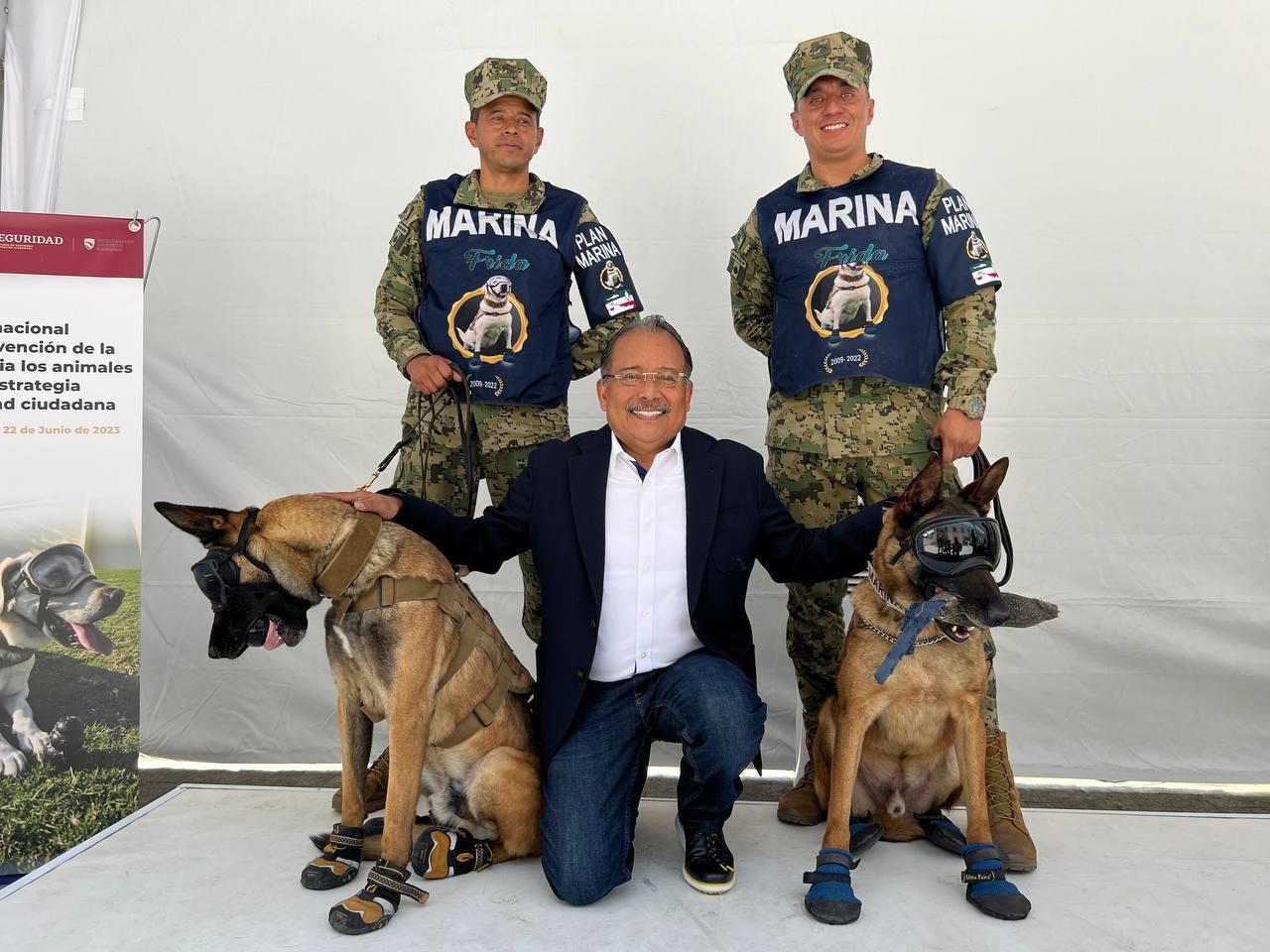 El bienestar de los animales que viven en la calle es una prioridad para el municipio, erradicando el sacrificio como solución a la sobrepoblación. Foto: Gobierno de Escobedo.