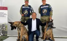 Municipios mexicanos adoptarán políticas pro animal de Escobedo