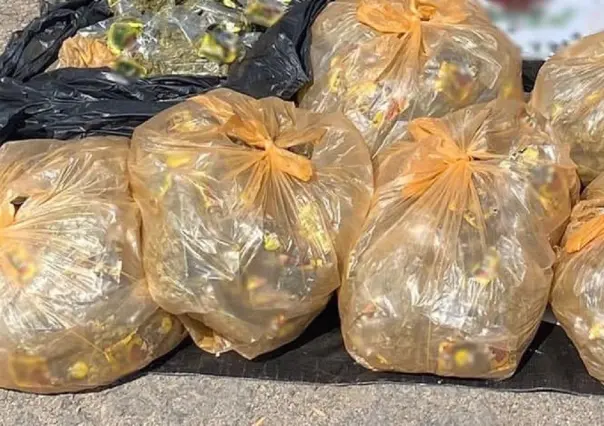 Aseguran mil 300 dosis de narcóticos en Silao, Guanajuato