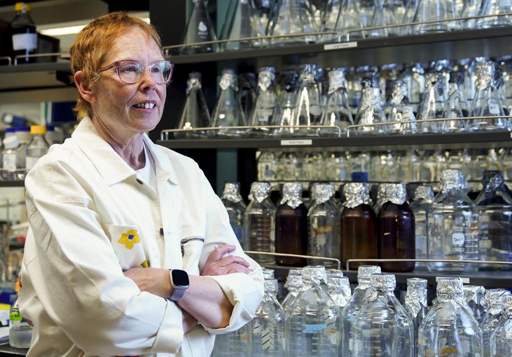 La doctora Nora Disis, directora del Instituto de Vacunas contra el Cáncer del Centro Médico de la Universidad de Washington posa para una fotografía el jueves 25 de mayo de 2023, en las instalaciones del instituto en Seattle. (AP Foto/Lindsey Wasson)