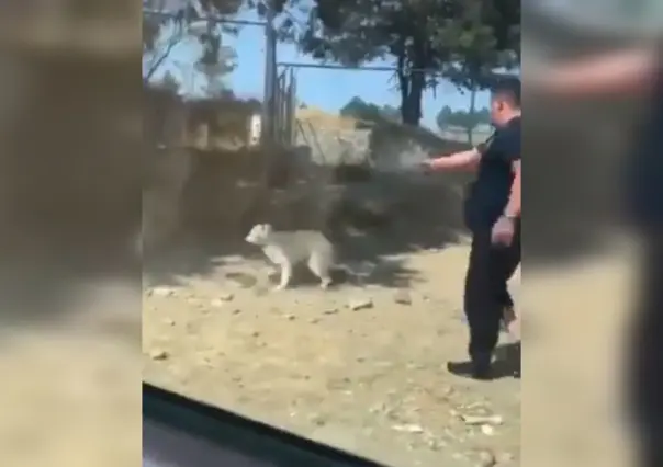 VIDEO: Acusan a excandidato del PVEM de matar a un perro a balazos en Tlaxcala