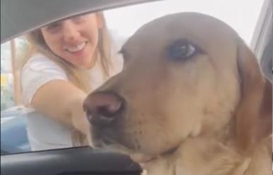 VIDEO: Sorprende perro traición por parte de su dueña y no la perdona