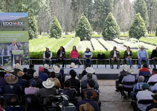 Tiene Edomex 15 mil hectáreas forestales más según el Inventario Estatal 2022