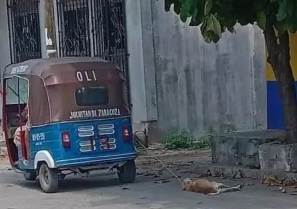 ¡Monstruo! Mototaxista ata a perro y lo arrastra por calles de Oaxaca