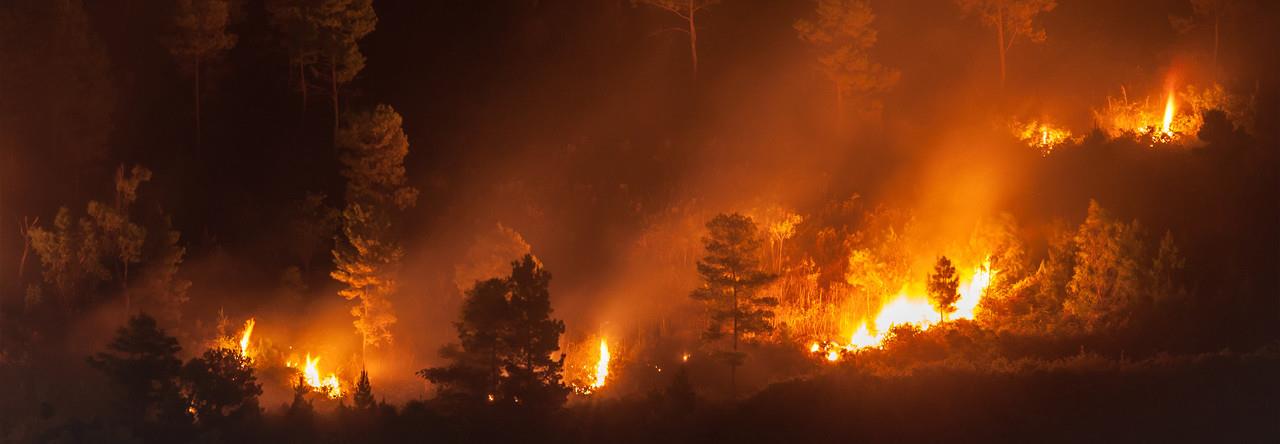 El pasado domingo, la ciudad de Montreal, la urbe más grande de la región de Quebec, donde hay un centenar de incendios activos, registró los niveles más altos de contaminación del planeta. Foto: Twitter/ @IQAir