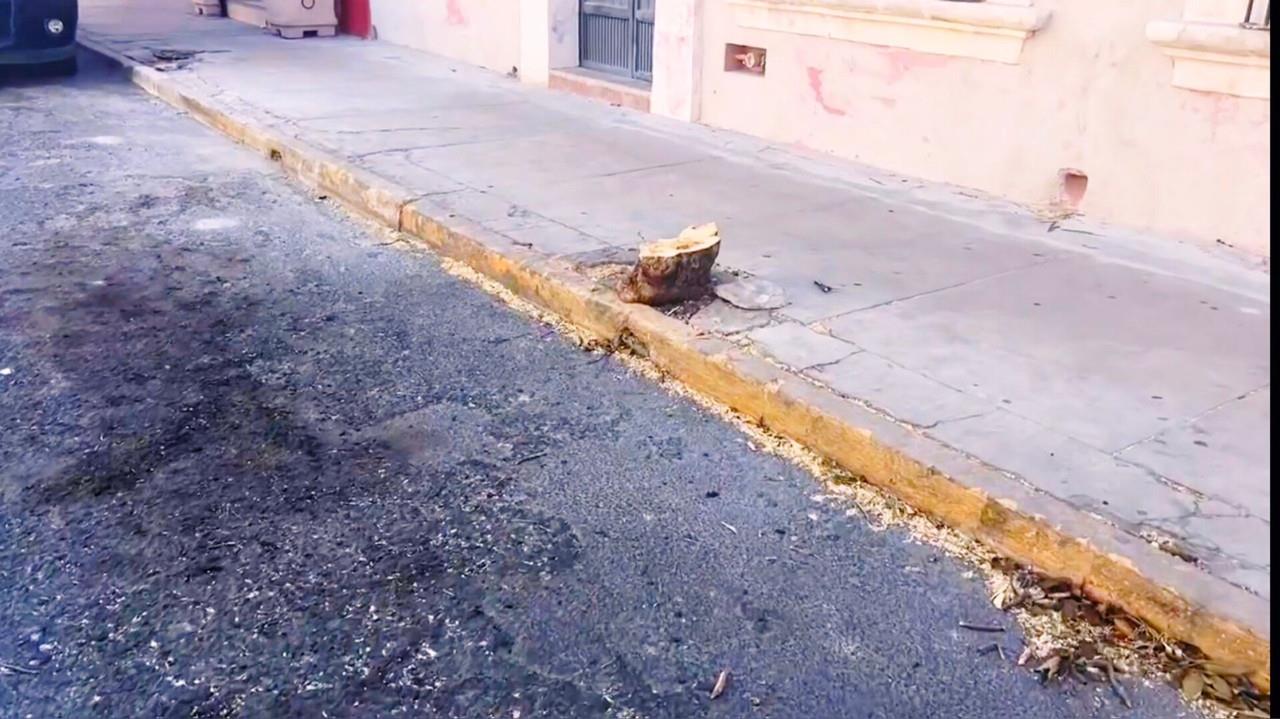 Hace días circuló en redes sociales cómo en el cruce de estas dos calles, los árboles que antes ahí se encontraban fueron talados en su totalidad. Foto: Jesús Carrillo