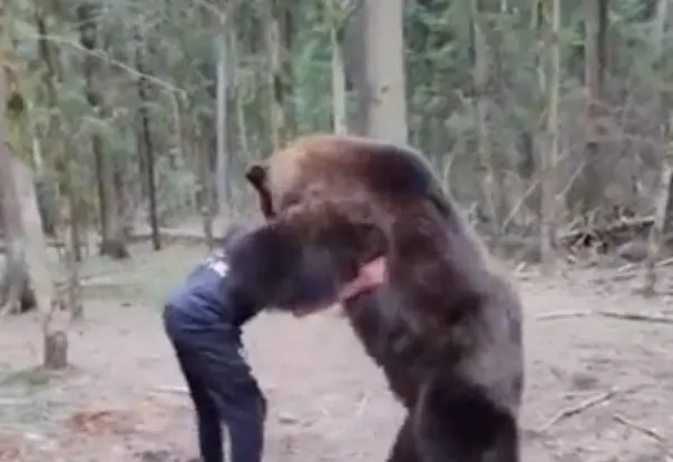 VIDEO: Entrena peleador con oso grizzli para fortalecer músculos