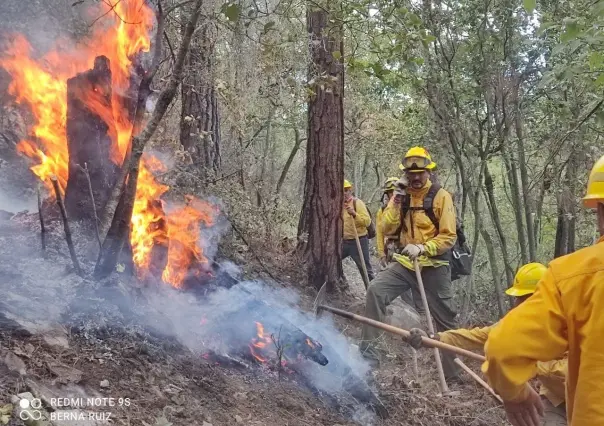 Control total del incendio forestal en la sierra de Santa Catarina en El Pajonal