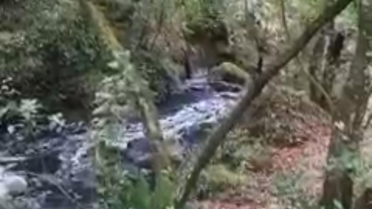 Contaminan el río Velo de Novia en Valle de Bravo, vecinos del lugar muestran en video aguas negras y grises corriendo por el cauce. Las autoridades municipales iniciaron una investigación. Foto: Cortesía