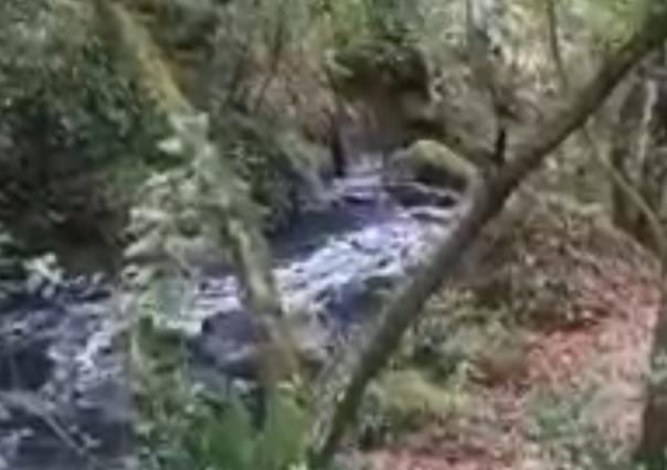 VIDEO: Contaminan río Velo de Novia en Valle de Bravo; vecinos exigen sanciones