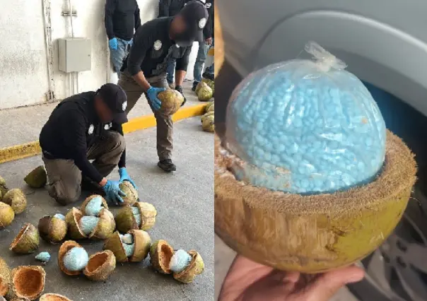 Sentencian a pareja que transportaba fentanilo en cocos en Sonora