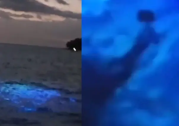 Captan a extraño ser y objeto submarino no identificado luminoso en el mar
