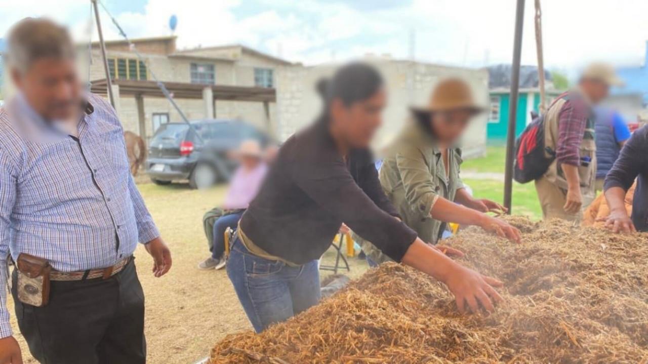 Miguel Ángel Pérez Paredes, promotor de acción comunitaria del IMSS Estado de México Poniente, explicó que el hongo seta es un alimento altamente nutritivo y de fácil digestión. Foto: Cortesía