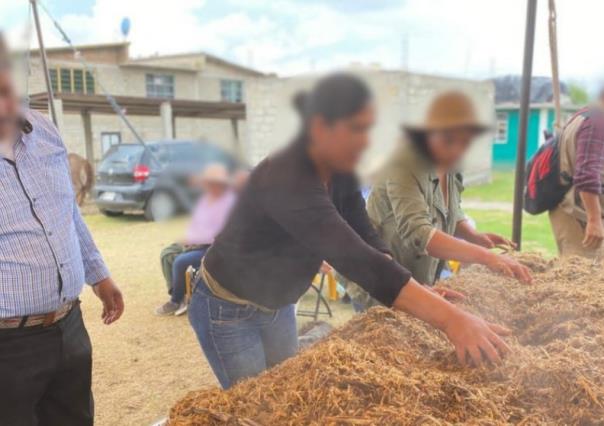 Capacita IMSS-Bienestar a habitantes del poniente de Edomex a cultivar alimentos