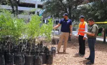 ¡Ya hay mil árboles más en Nuevo León!