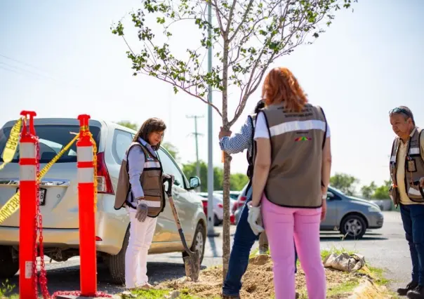 Incentiva Guadalupe reforestación de árboles en empresas