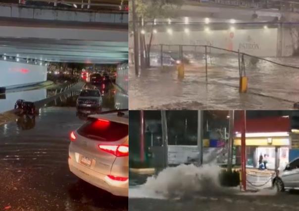 VIDEO: Caída de árboles y encharcamientos: Consecuencias de la lluvia en CDMX