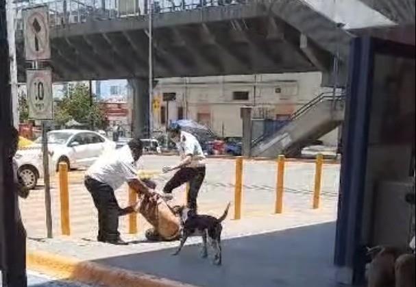 Patean guardias a hombre en situación de calle que se refugiaba en Monterrey