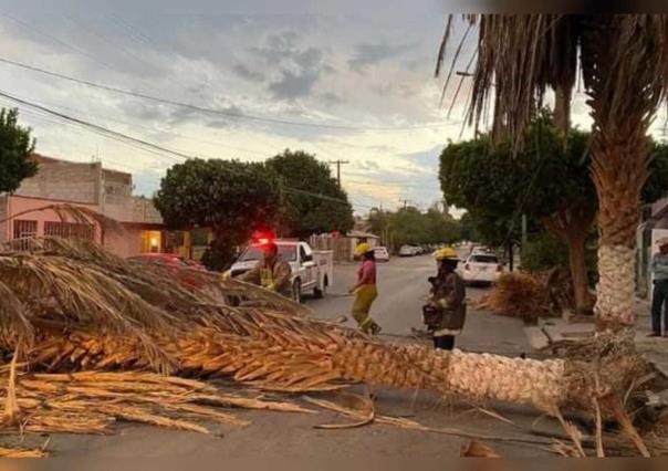 Impacta fuerte tromba en Gómez Palacio que deja solo daños materiales