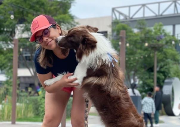 Llaman acudir al veterinario por sospecha de alergias por mascotas
