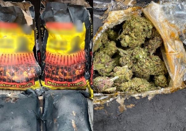 Aseguran marihuana oculta en bolsas de carbón en Culiacán, Sinaloa
