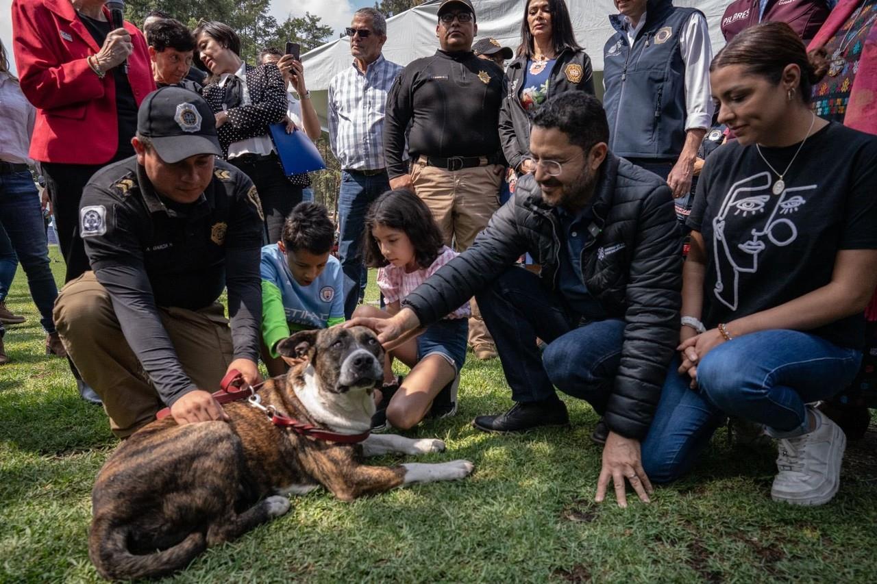 El proyecto pretende brindar un espacio seguro para los animales de la ciudad. Foto: @martibatres