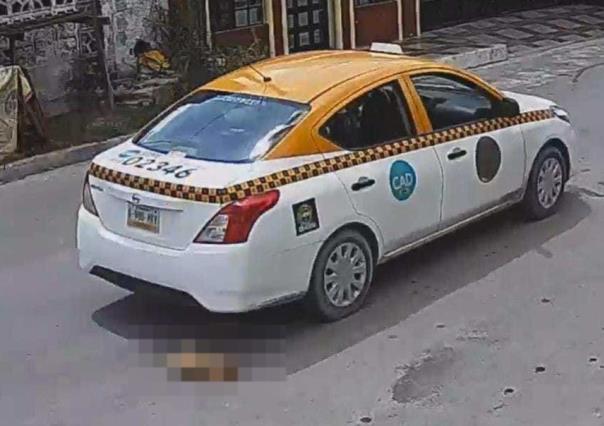 VIDEO: Atropella taxista a perro en Cadereyta