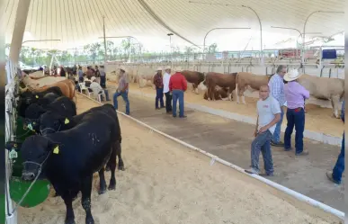 Expo ganadera de talla nacional e internacional: FENADU 2023