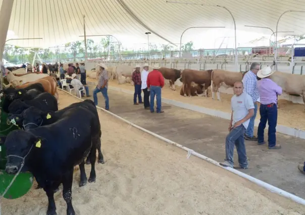 Expo ganadera de talla nacional e internacional: FENADU 2023