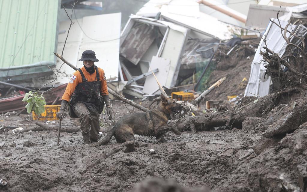 Un rescatista ayudado por un perro busca personas en el sitio donde ocurrió un deslave provocado por las fuertes lluvias, el 16 de julio de 2023, en Yecheon, Corea del Sur. (Yun Kwan-shick/Yonhap vía AP, archivo)