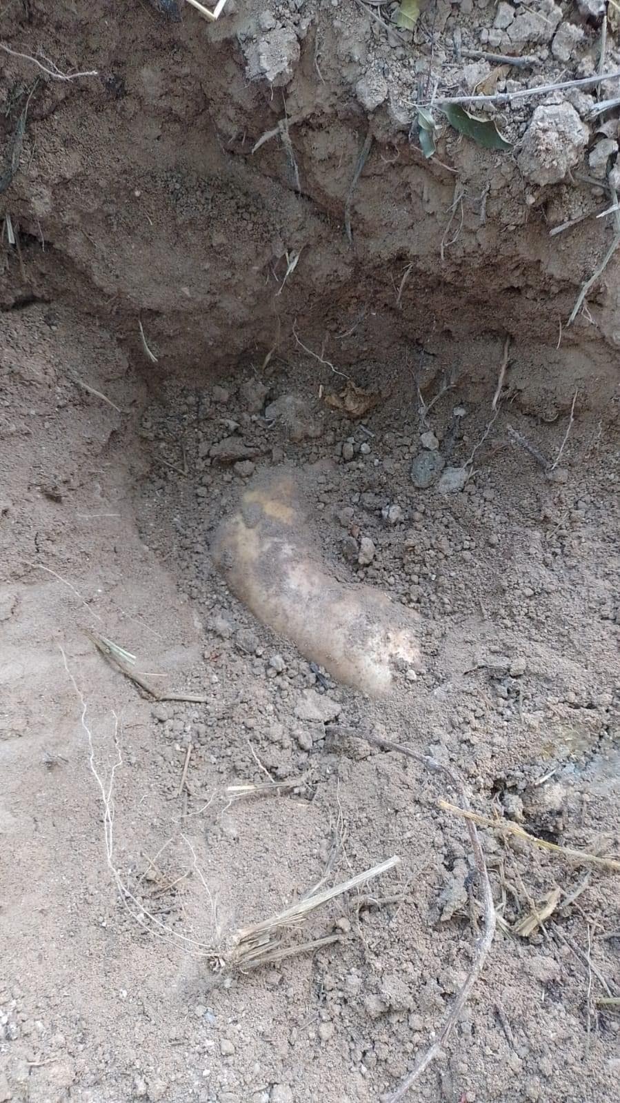 Hallan restos de 20 personas en 11 fosas clandestinas en Reynosa, Tamaulipas