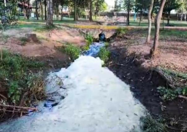 Alertan vecinos contaminación en el Lago Espejo de los Lirios en Cuautitlán