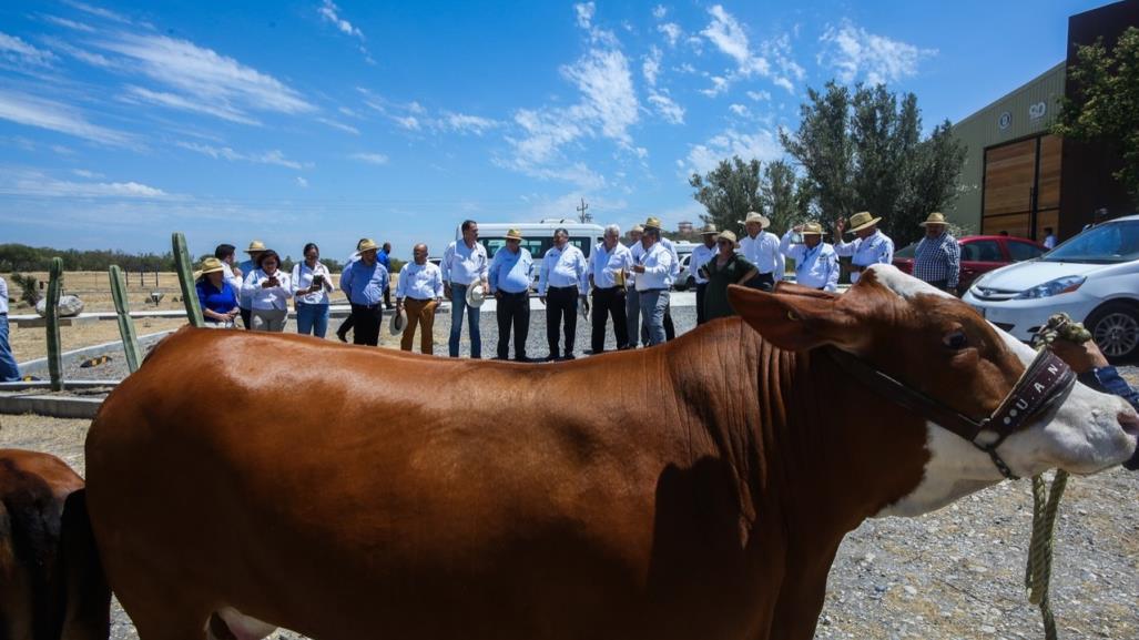 Apoyo a la UANL en producción agropecuaria: tecnología y equipamiento de laboratorios