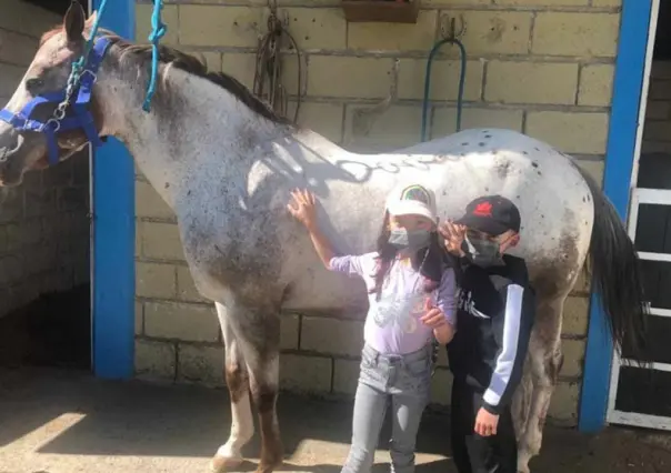 Ofrecen cursos de verano con causa en Metepec