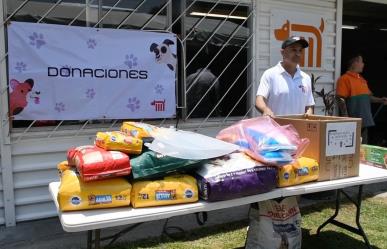 Centro de Transferencia Canina del STC celebra 6 años de amor y cuidado