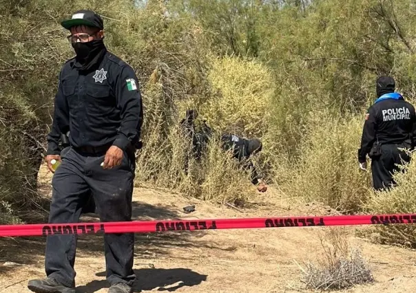 Encuentran 15 cadáveres en fosas clandestinas de Mexicali y Tijuana