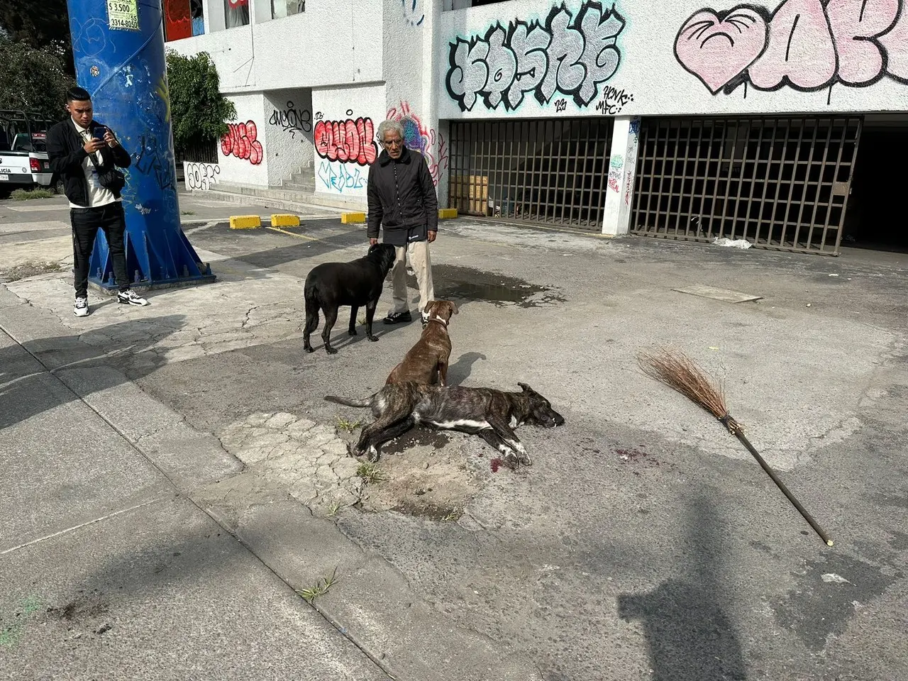 Autoridades detuvieron a un hombre tras matar a balazos a un perro en la colonia Peralvillo, de la Ciudad de México. Foto: Ramón Ramírez