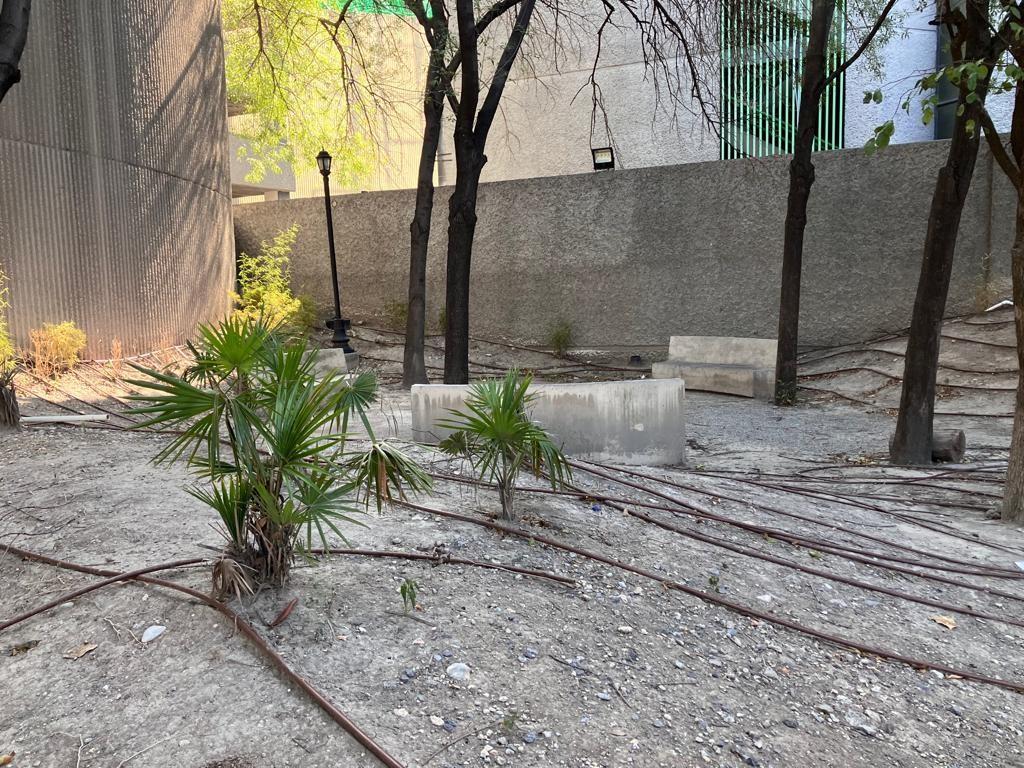 Hay quienes se trasladan a esta plaza a comer o disfrutar un refrigerio fuera de su área de trabajo. Foto: Rosy Sandoval.