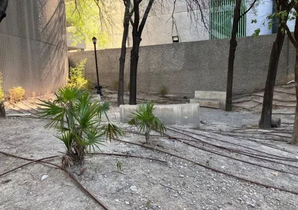 Falta de interés hace que el Parque Ciudadano luzca abandonado