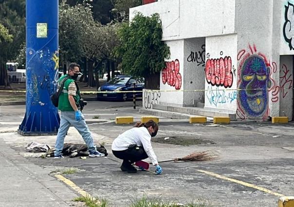 VIDEO: Retiro tardío,  Zeus, el perro héroe asesinado