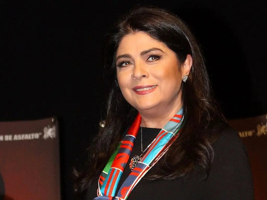 Tras revelar que la silla de ruedas le permitía llegar a su destino, debido a que le era imposible caminar distancias largas, Victoria Ruffo explicó cuáles podrían ser los motivos de dicha afección. Foto: Vanguardia.