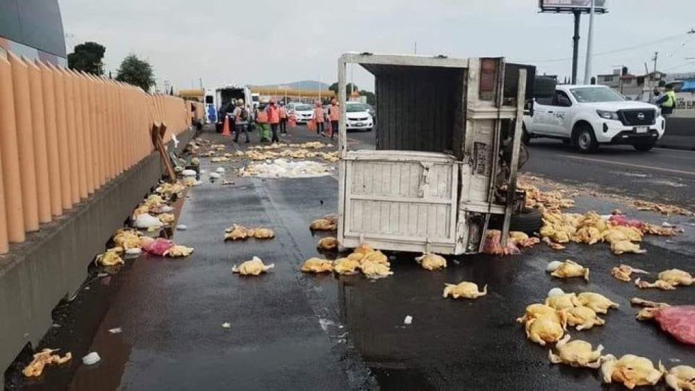 Vuelca una camioneta cargada con pollos en el kilómetro 29 de la carretera México-Puebla en Valle de Chalco, provocó un gran caos vial y dejó al conductor lesionado. Foto: Cortesía