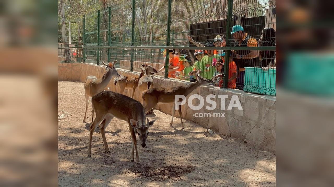 Delimitarán zonas protegidas en los principales parques de la ciudad de Durango