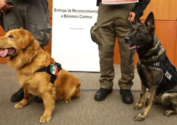 Dan reconocimiento a los Binomios Caninos de la FGR en el Senado