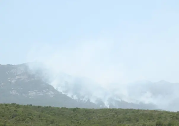 Incendio arrasa 15 hectáreas del Cerro del Diente en San Carlos, Tamaulipas