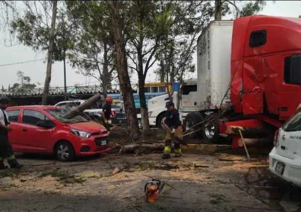 Libra conductor la muerte tras choque en Tlalnepantla