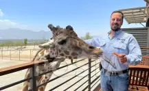 “Xhant”, el primer hotel con jirafas de Nuevo León